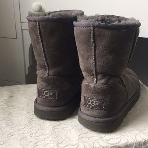 Classic Short Uggs in Gray